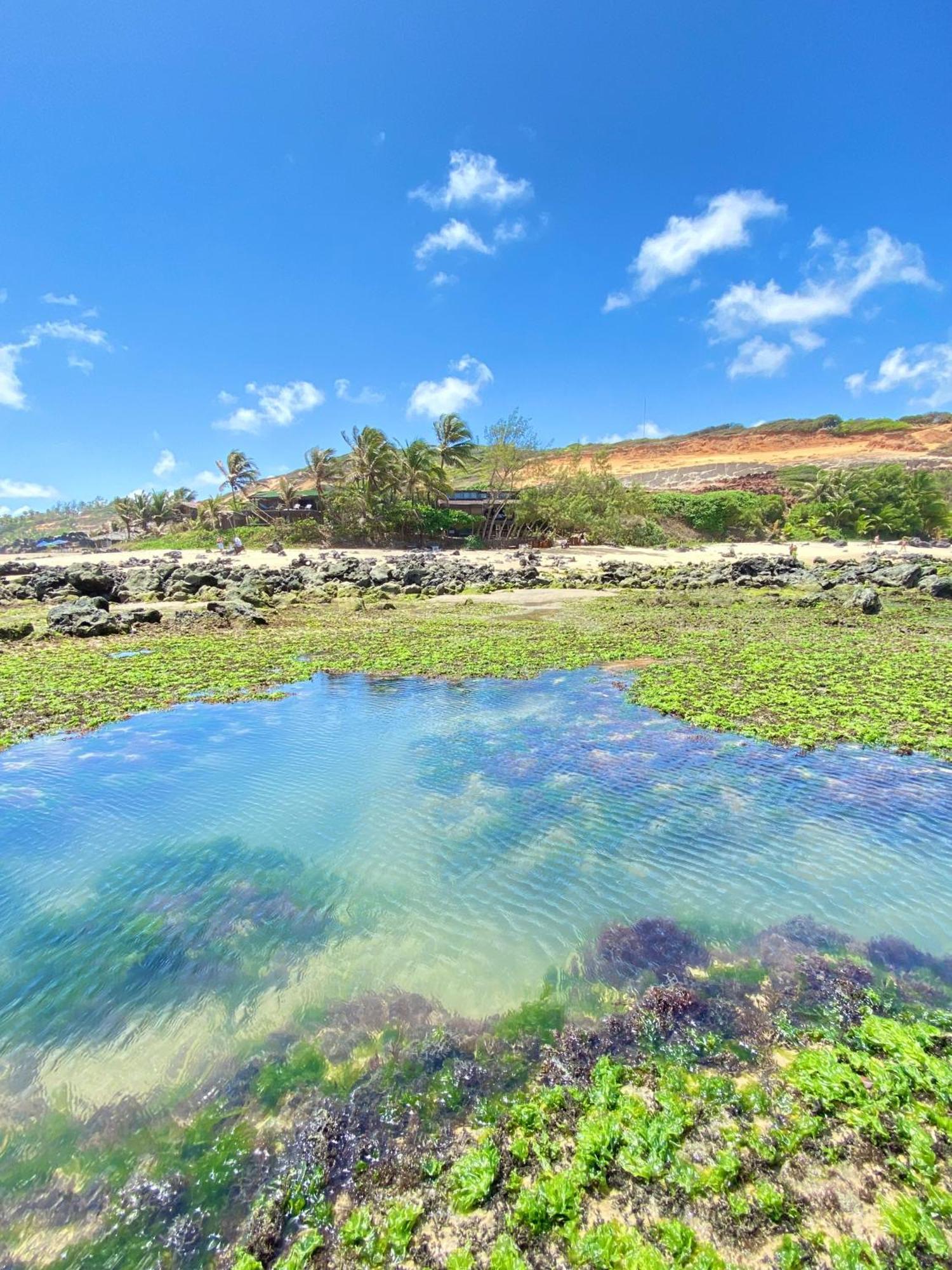Pousada Paraíso das Tartarugas Praia de Pipa Exterior foto